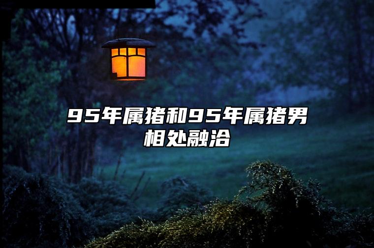 95年属猪和95年属猪男相处融洽 建议理性看待