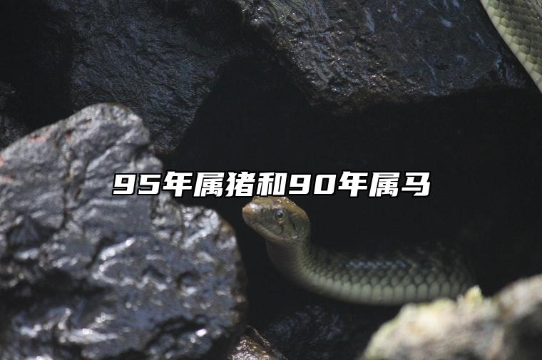 95年属猪和90年属马 性格美好爱情降临