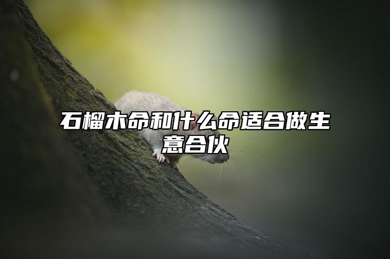 石榴木命和什么命适合做生意合伙 大溪水命和石榴木命事业互助