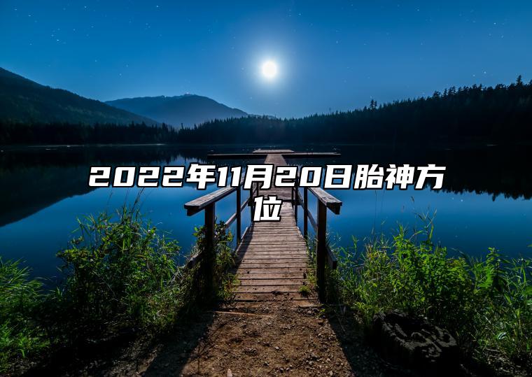 今日胎神方位 2022年11月20日农历十月二十七