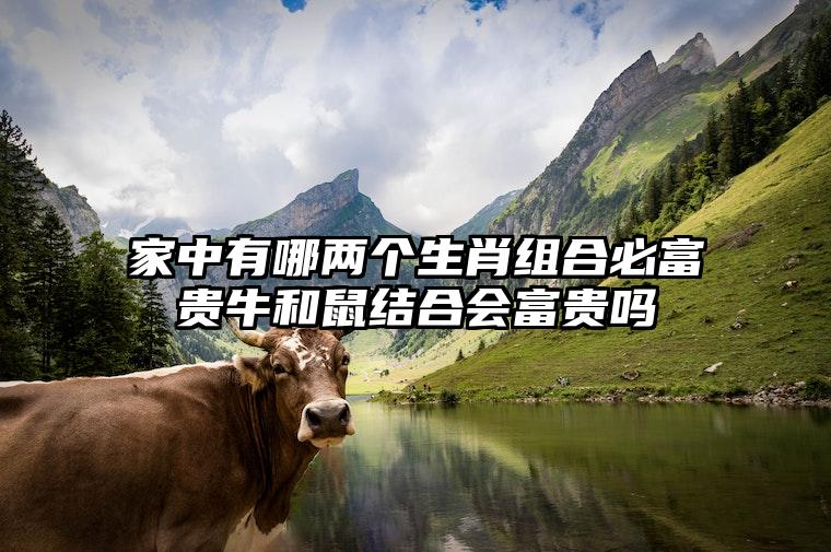家中有哪两个生肖组合必富贵牛和鼠结合会富贵吗？