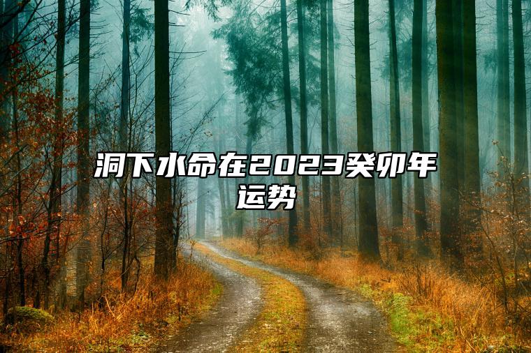 洞下水命在2023癸卯年运势 兔年谨防官司缠扰