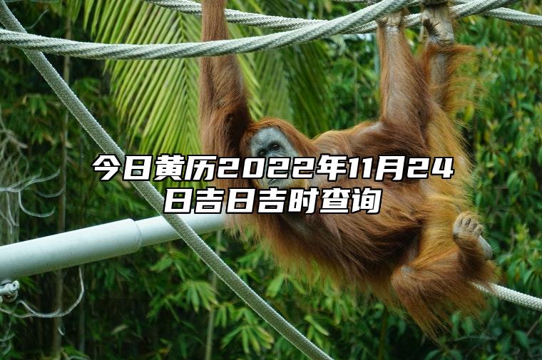 今日黄历2022年11月24日吉日吉时查询,老黄历宜忌