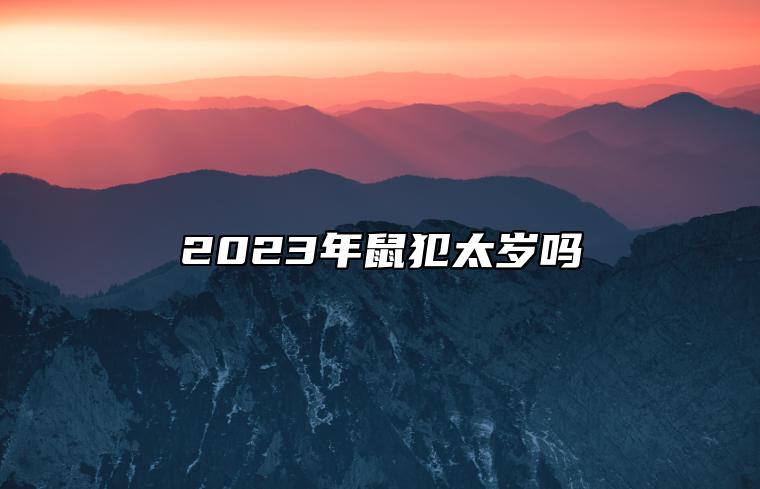 2023年鼠犯太岁吗 化解有方法