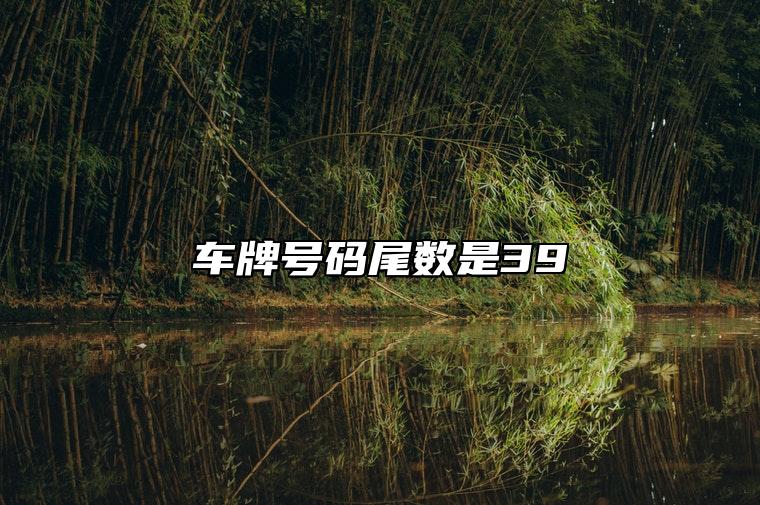 车牌号码尾数是39 数字几做车牌号得好意头