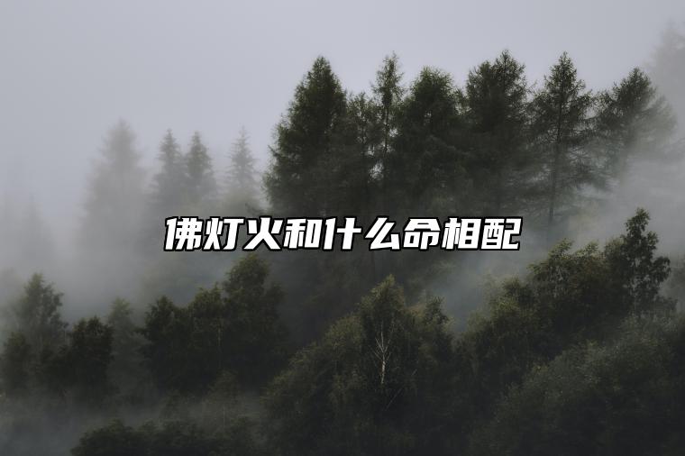 佛灯火和什么命相配 佛灯火和大林木命三观相合