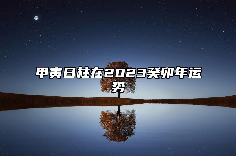 甲寅日柱在2023癸卯年运势 事业大吉紫气东来