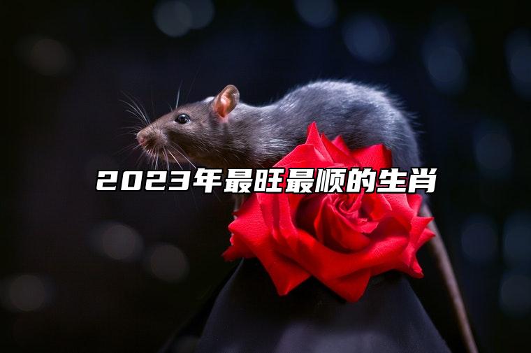 2023年最旺最顺的生肖 生肖羊有人生巅峰