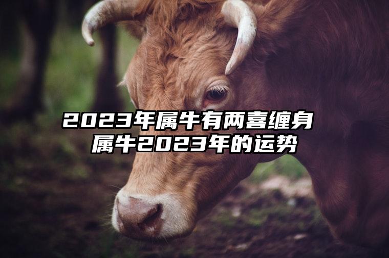 2023年属牛有两喜缠身 属牛2023年的运势