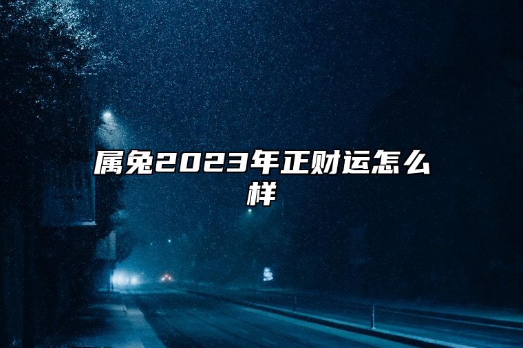 属兔2023年正财运怎么样 一生财富