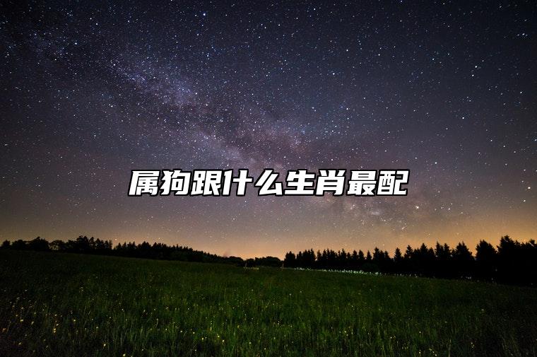 属狗跟什么生肖最配 和属猪婚姻非常甜蜜