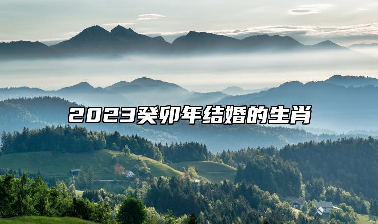 2023癸卯年结婚的生肖  生肖牛感情走高