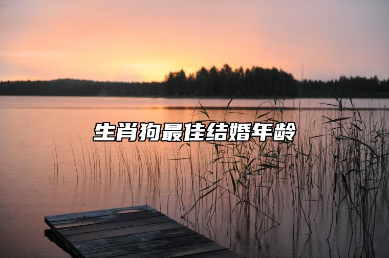 生肖狗最佳结婚年龄 属兔伴侣不相冲