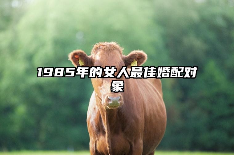 1985年的女人最佳婚配对象 