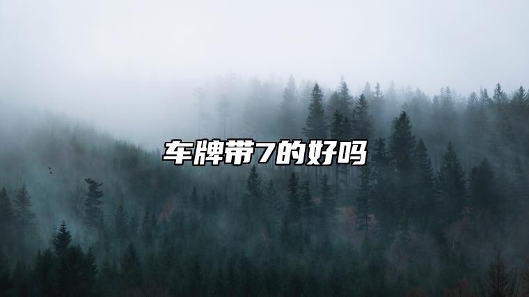 车牌带7的好吗 发财旺运的车牌号码