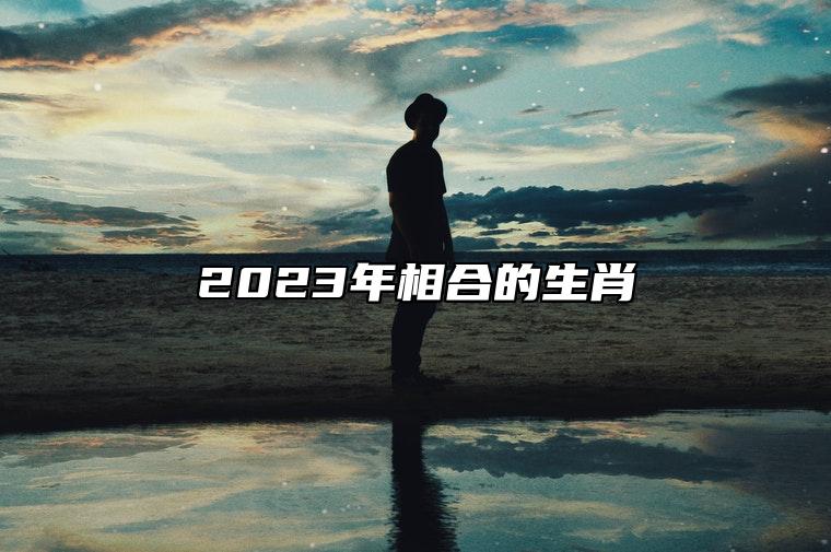 2023年相合的生肖 属猪有贵人相助