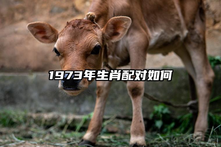 1973年生肖配对如何 1973年属牛最佳配对