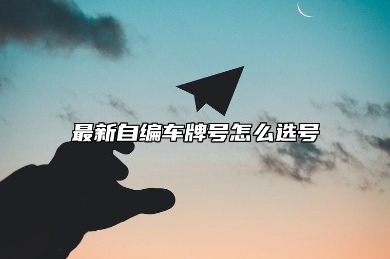 最新自编车牌号怎么选号 2023大吉车牌号码