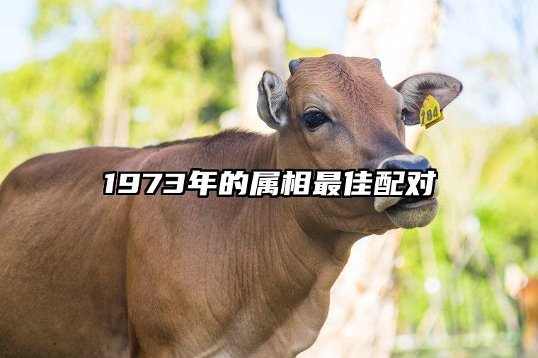 1973年的属相最佳配对 1973年的属相最佳配对生肖