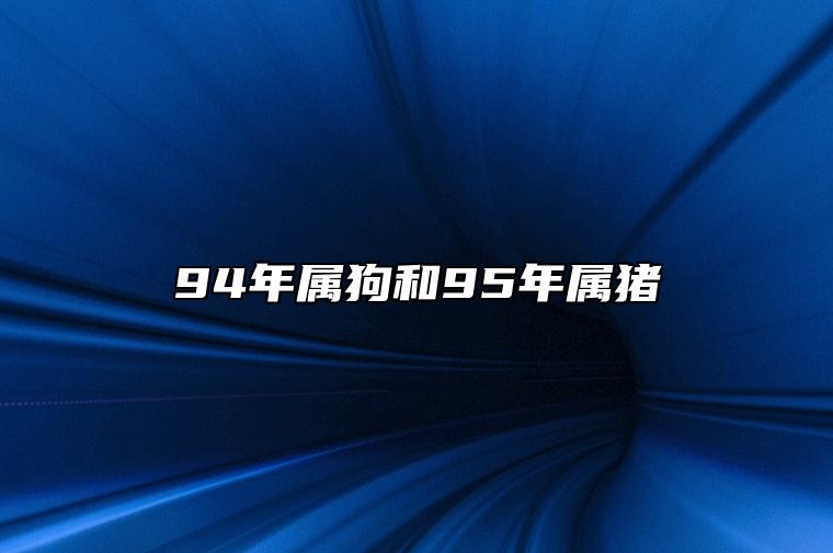 94年属狗和95年属猪 具备成熟稳定心态