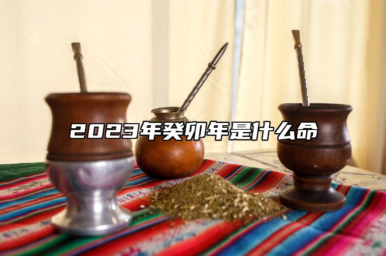 2023年癸卯年是什么命？农历十月的兔子的命运