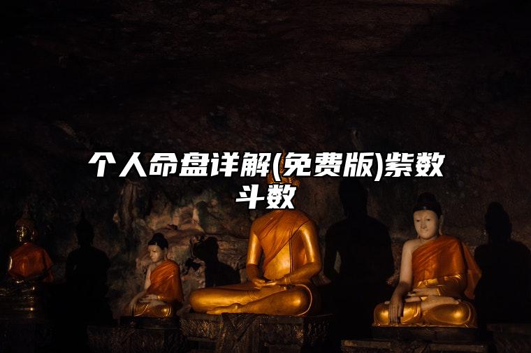 个人命盘详解(免费版)紫数斗数 个人命盘详解(免费版)在线测2023