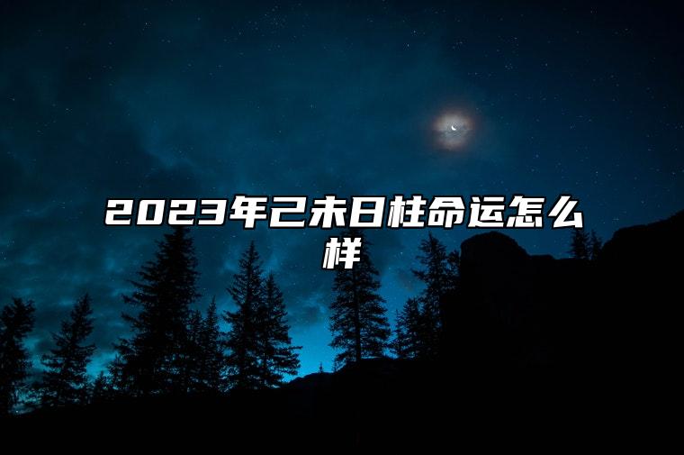 己未日柱在2023癸卯年运势 2023年己未日柱命运怎么样