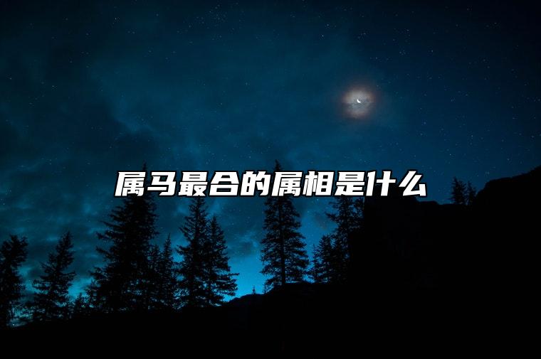 属马最合的属相是什么 和什么属相合财