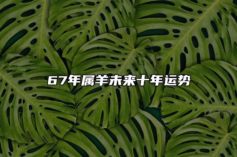 67年属羊未来十年运势 会迎来事业胜利