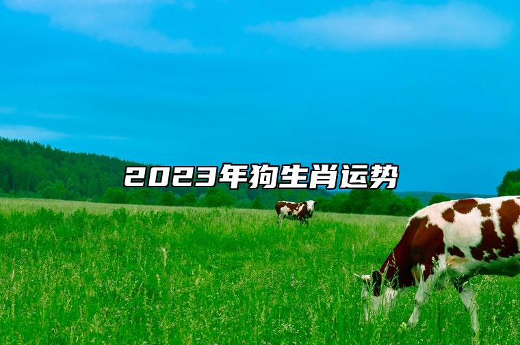 2023年狗生肖运势 事业运势相当上佳