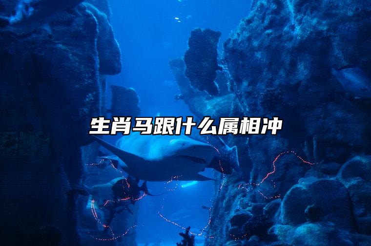 生肖马跟什么属相冲 属马婚配宜忌