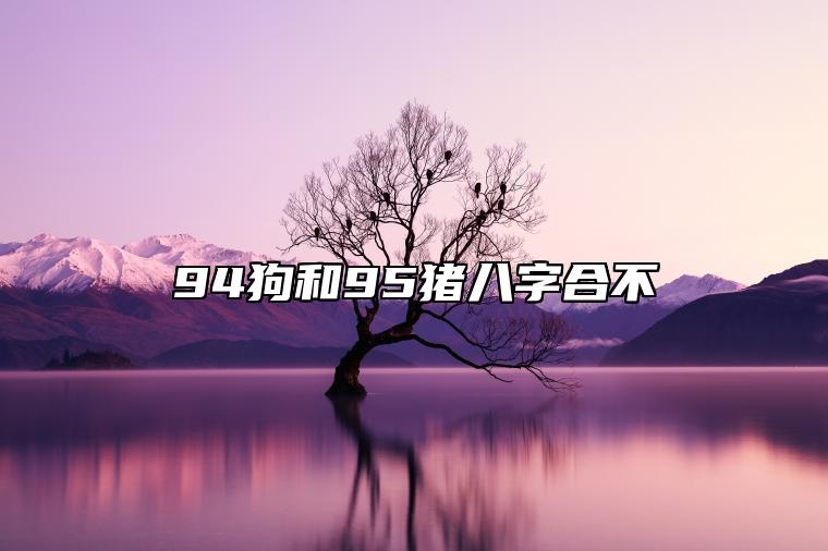 94狗和95猪八字合不 可以结婚吗