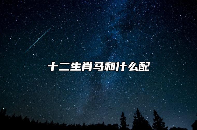 十二生肖马和什么配 和生肖羊情投意合