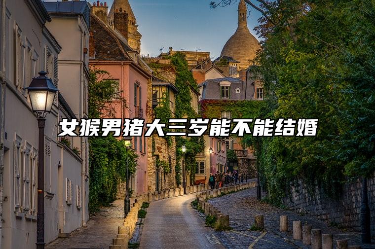 女猴男猪大三岁能不能结婚