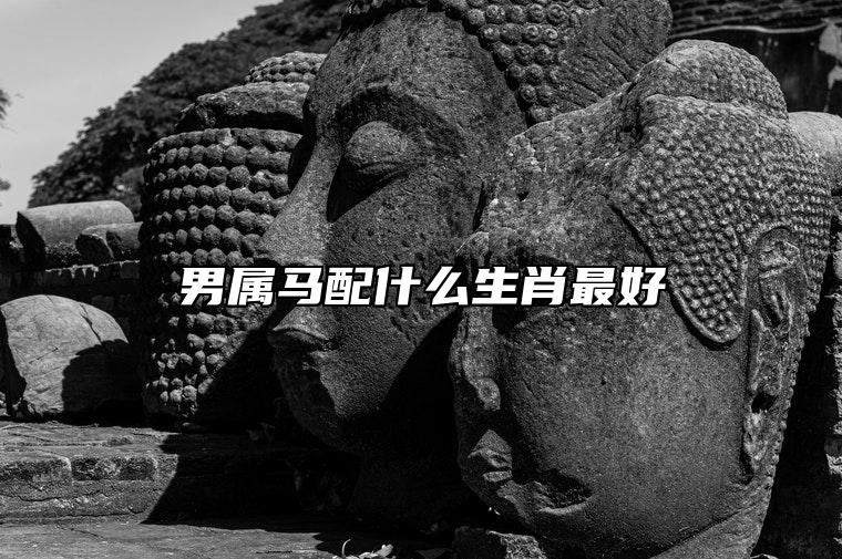 男属马配什么生肖最好 与属鸡女非常幸福