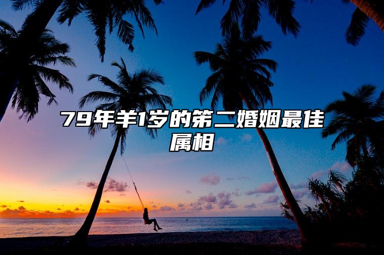 79年羊1岁的笫二婚姻最佳属相