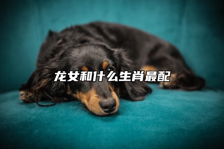 龙女和什么生肖最配 和属猴男是天衣无缝的一对
