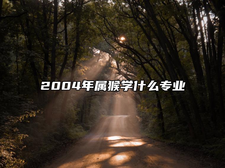 2004年属猴学什么专业 适合金融专业