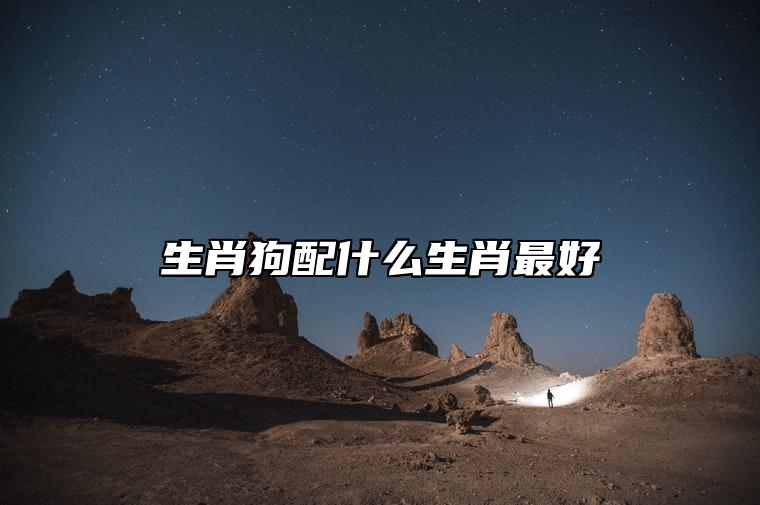 生肖狗配什么生肖最好 属狗配属马成就一段美好姻缘