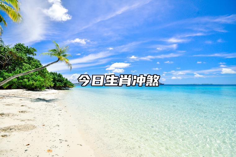 今日生肖冲煞 2023年2月6日属相相冲一览 相刑 相合