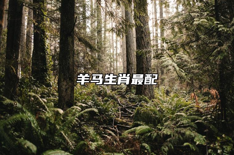 羊马生肖最配 性格互补性强烈能够互相平衡