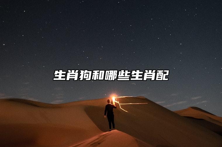 生肖狗和哪些生肖配 与生肖兔属于中吉配对