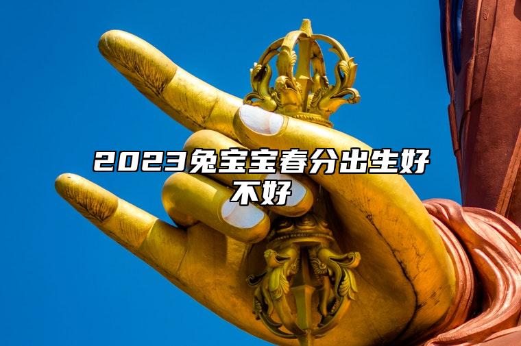 2023兔宝宝春分出生好不好 男宝宝出生在春分的运势