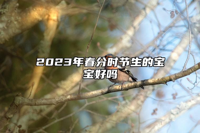 2023年春分时节生的宝宝好吗 春分出生的人性格解析