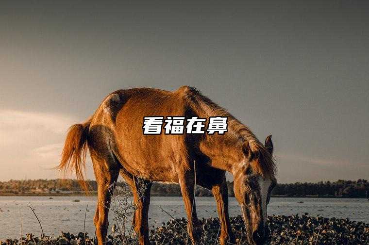 看福在鼻 有钱又有福气的鼻子都有哪些特征？
