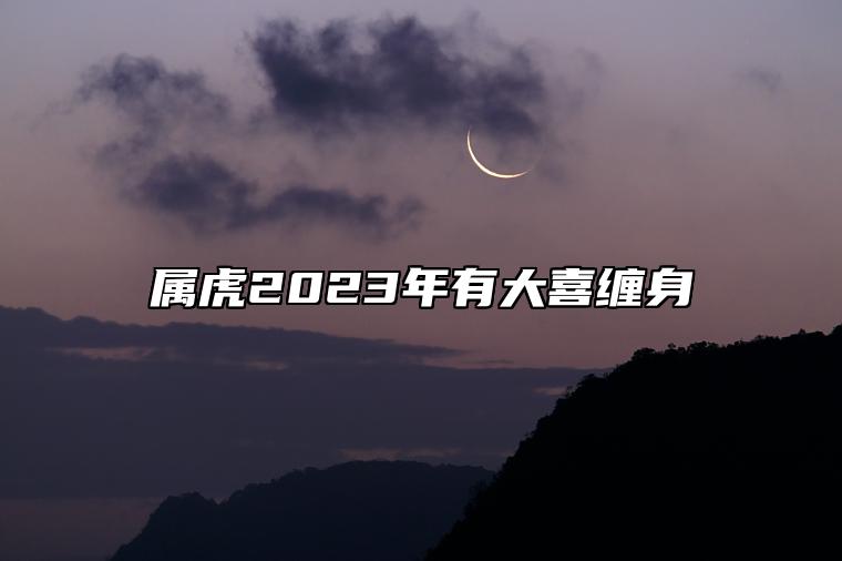 属虎2023年有大喜缠身 升职加薪财运提升学业进步
