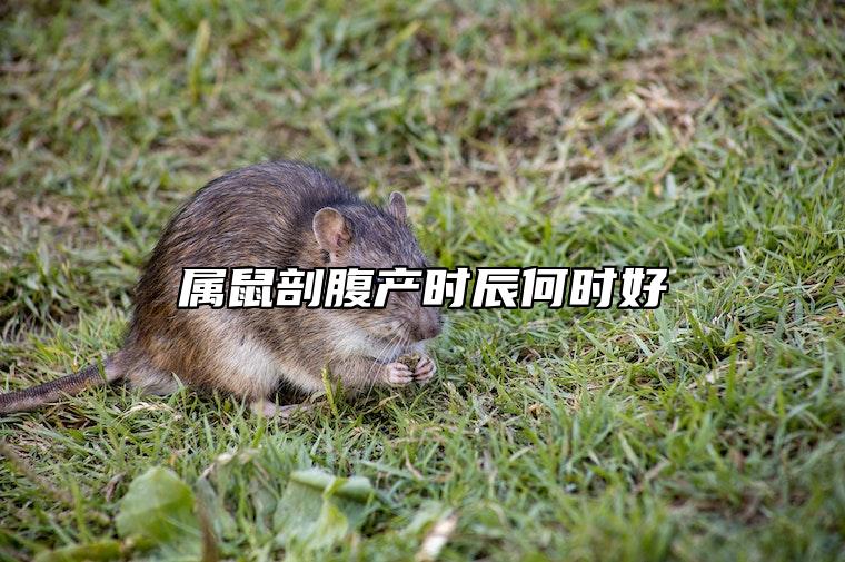 属鼠剖腹产时辰何时好 五月有哪些生子吉日