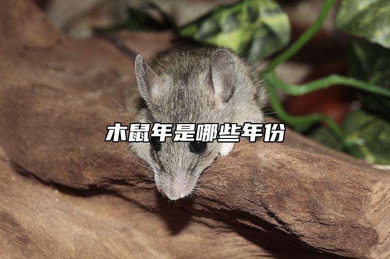 木鼠年是哪些年份