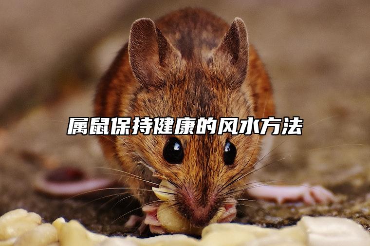 属鼠保持健康的风水方法