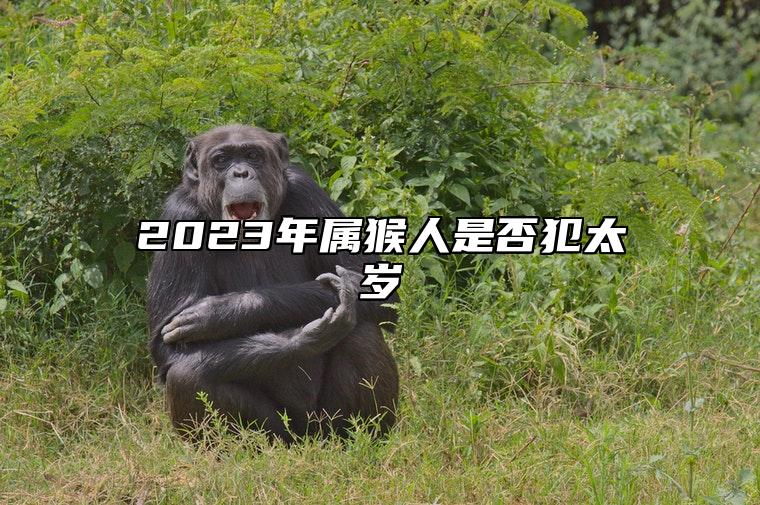 2023年属猴人是否犯太岁 2023年属猴要出大事